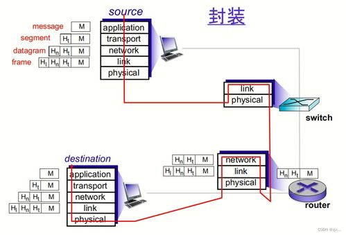 計算機網絡與因特網 網絡與信息安全軟件開發的關鍵基礎